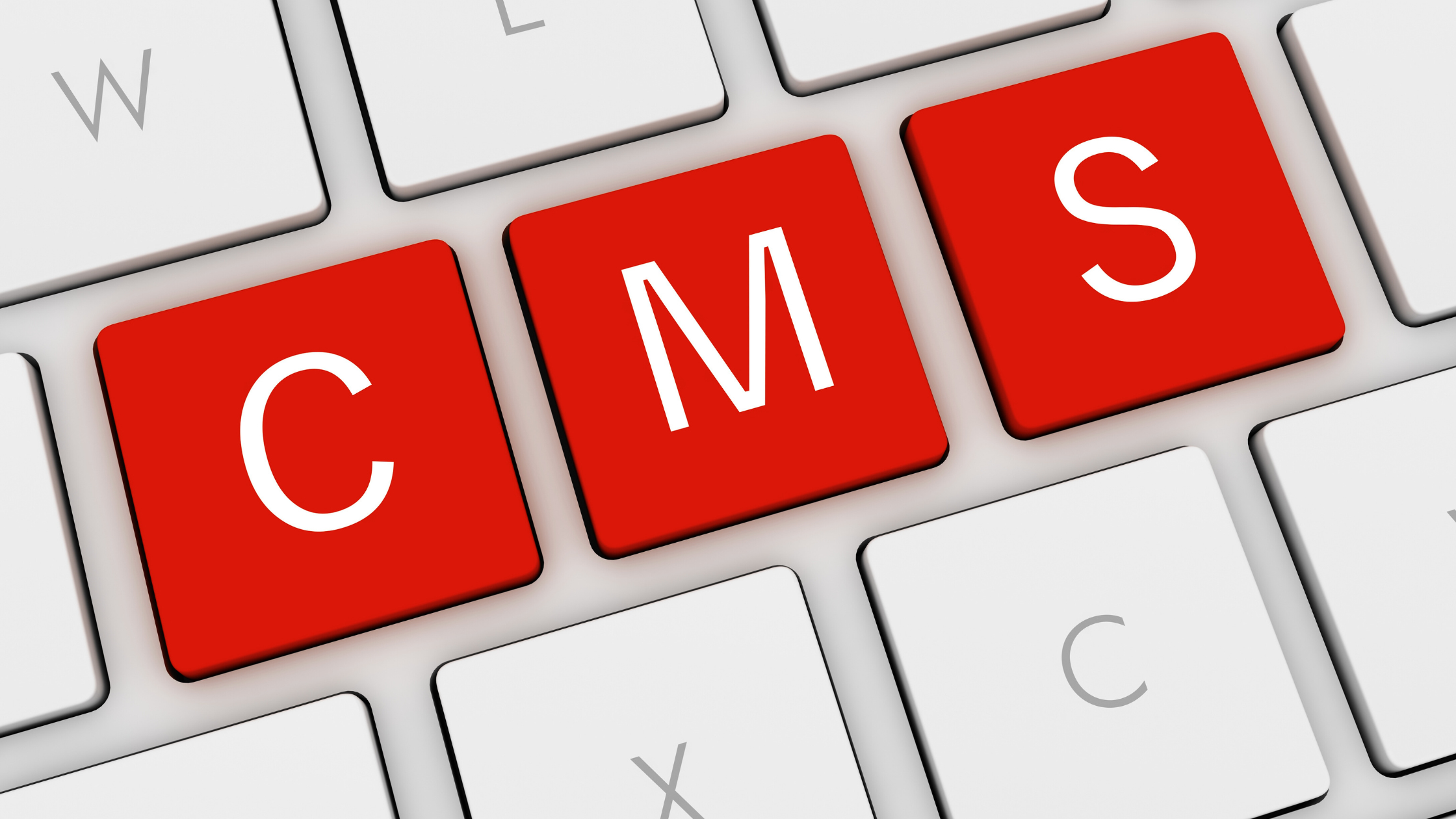 Headless CMS Adoption: The Future of Scalable and Flexible Content Delivery